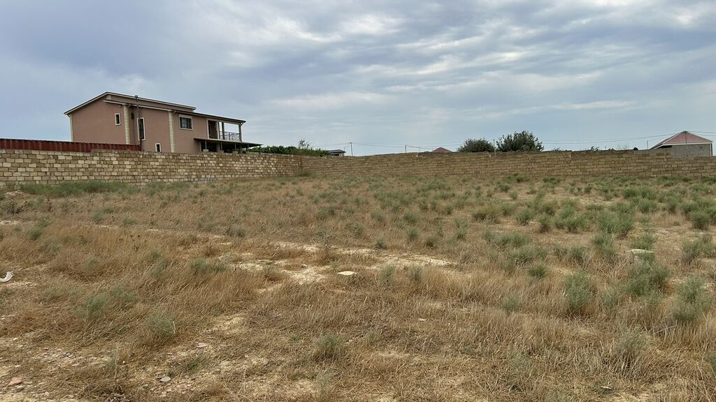 11 sot, Kənd təsərrüfatı, Mülkiyyətçi, Kupça (Çıxarış)