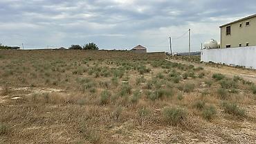 11 sot, Kənd təsərrüfatı, Mülkiyyətçi, Kupça (Çıxarış) - şəkil 3