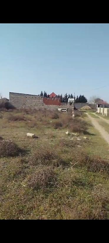 5 sot, Tikinti, Mülkiyyətçi, Bələdiyyə - şəkil 2