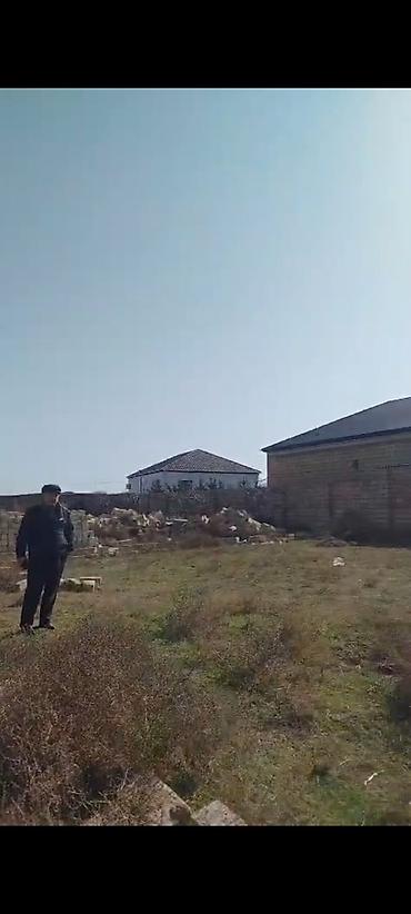 5 sot, Tikinti, Mülkiyyətçi, Bələdiyyə - şəkil 4