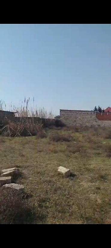 5 sot, Tikinti, Mülkiyyətçi, Bələdiyyə - şəkil 3