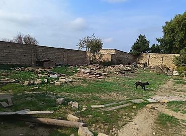 4 sot, Mülkiyyətçi, Bələdiyyə - şəkil 2