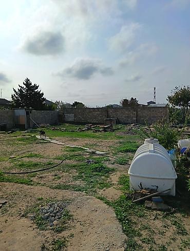 4 sot, Mülkiyyətçi, Bələdiyyə - şəkil 4