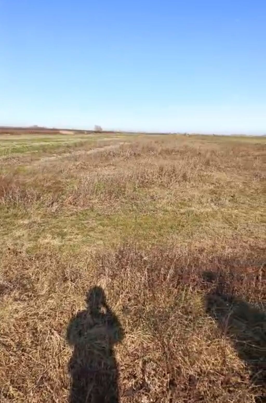 138 sot, Kənd təsərrüfatı, Mülkiyyətçi