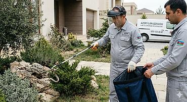 Peşəkar ilan və zərərverici nəzarəti xidməti - Təhlükəsiz ilan tutma - şəkil 3