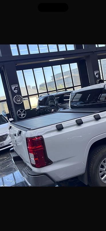 Mitsubishi L200 (pikap) üçün jalüz baqaj. Şəkildəkinin eynisidir, tam - şəkil 2