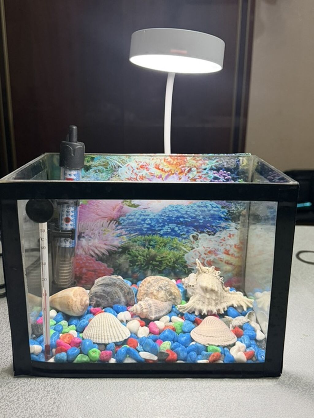 Dördbucaq akvarium, Boş, 15 l