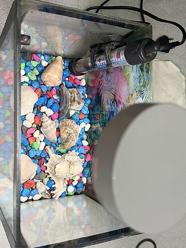 Dördbucaq akvarium, Boş, 15 l - şəkil 3