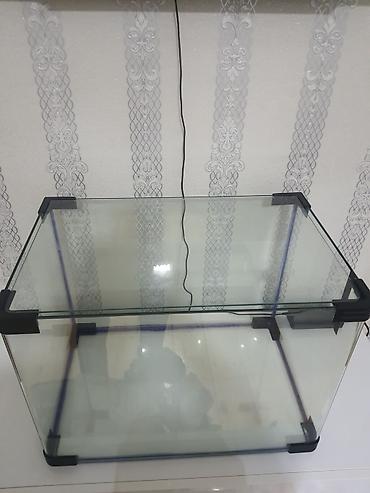 Dördbucaq akvarium, Boş, 80 l, Ünvandan götürmə - şəkil 3