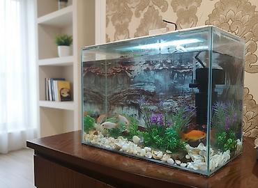 Akvarium balıqları aksesuarlar yem tor filter - şəkil 4