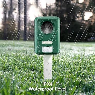 Quş qovan, Yeni, Ünvandan götürmə, Pulsuz çatdırılma, Ödənişli çatdırılma - şəkil 4