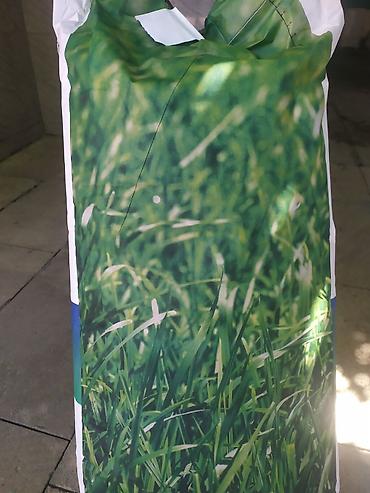 Qazon Toxumu Satışı - şəkil 2