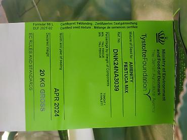 Qazon Toxumu Satışı - şəkil 3