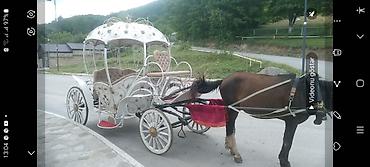 Fayton satılır Qədimi dizaynda, dəmir konstruksiya ilə yığılmış fayton - şəkil 3