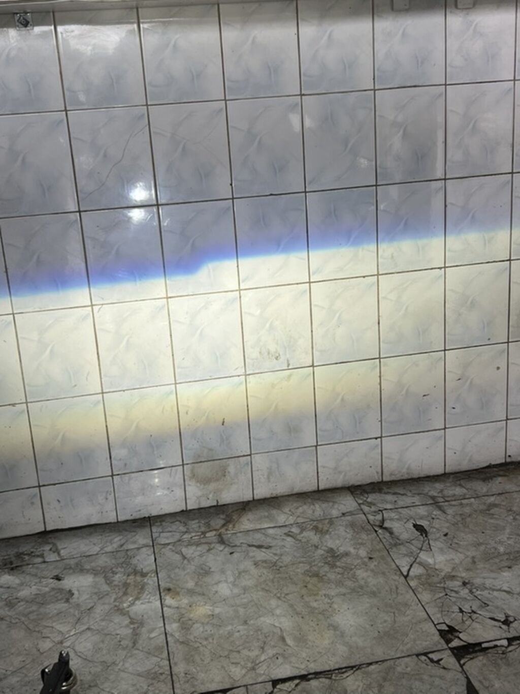 H4lupali led teze kimidir