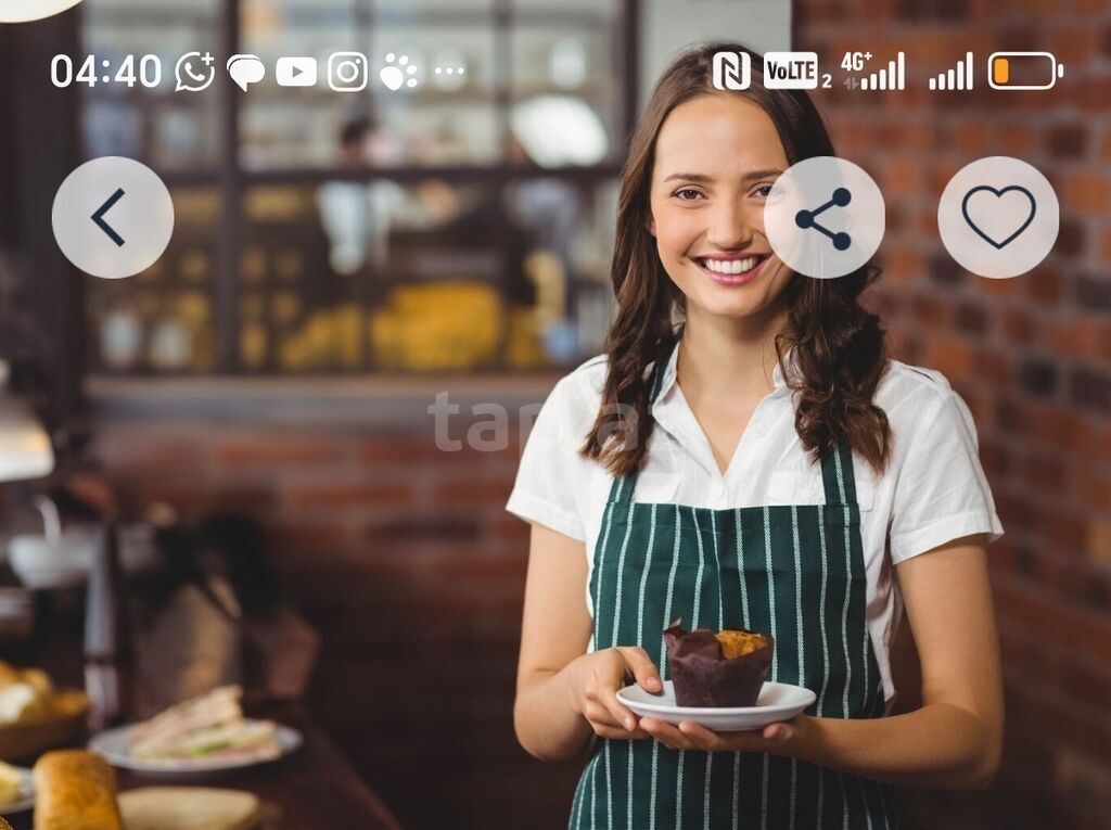 Nargilə Pub üçün peşəkar barista/ofisiant xidməti. Cayvoy superdi