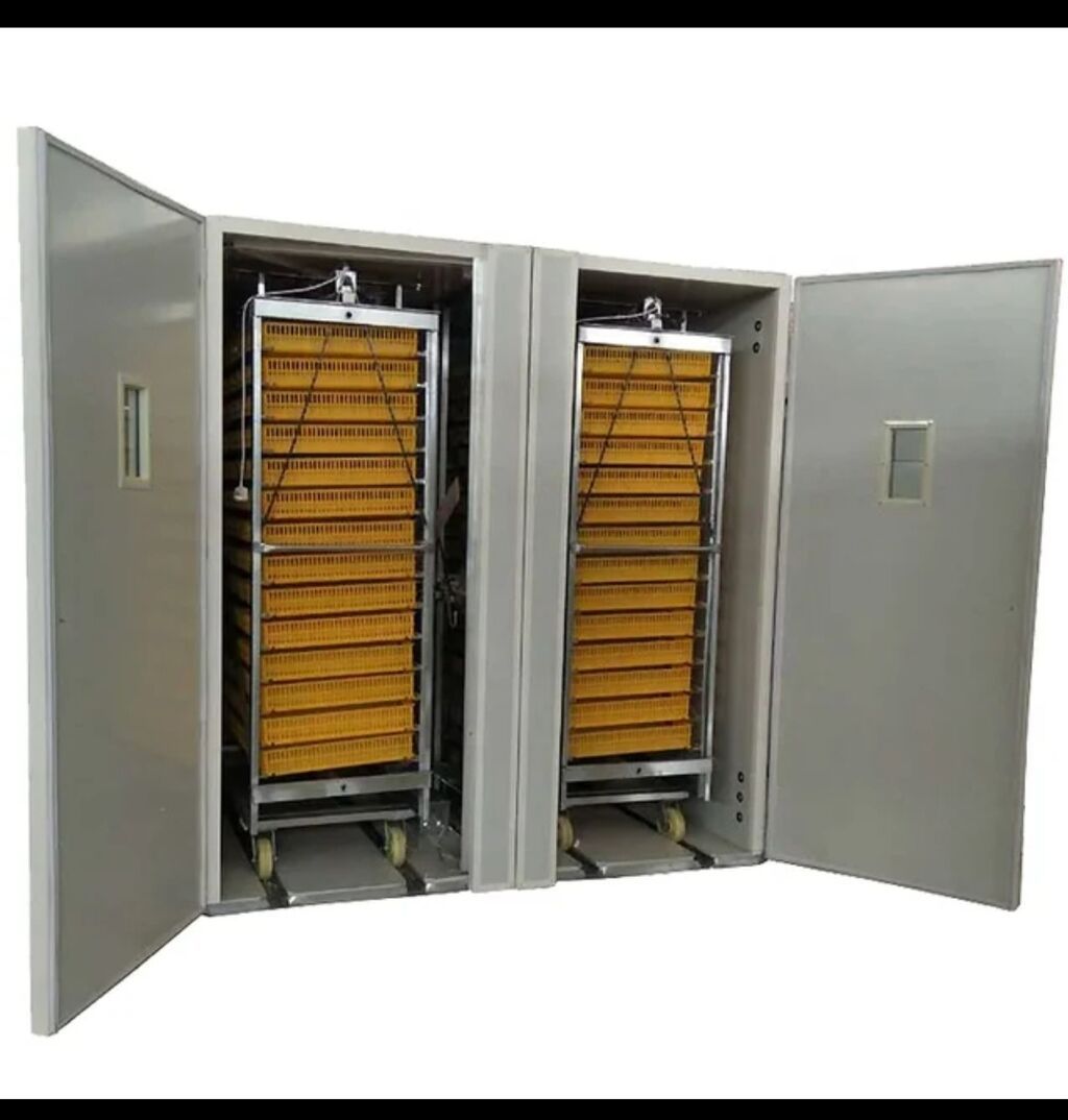 5000 yumurta, Azərbaycan, Tam avtomat, Bütün növ quşlaq üçün, Zəmanət ilə