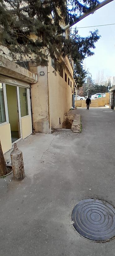 Kommersiya obyektinin icarəsi/satışı üçün təklif - Təyinat: ofis - şəkil 2