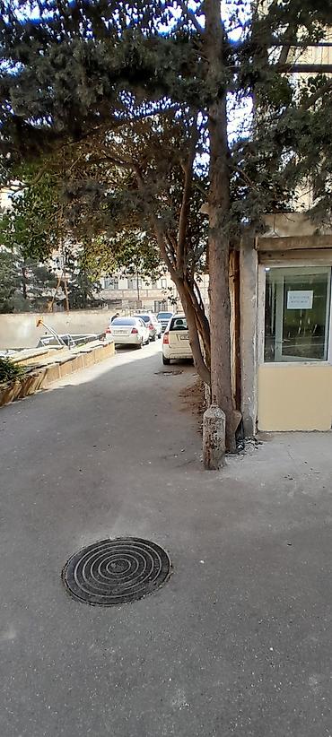 Kommersiya obyektinin icarəsi/satışı üçün təklif - Təyinat: ofis - şəkil 3