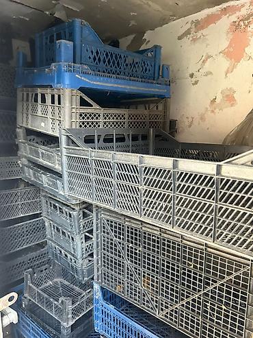 Plastik meyvə-tərəvəz yeşikləri - Material: möhkəm plastik - şəkil 3