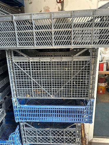 Plastik meyvə-tərəvəz yeşikləri - Material: möhkəm plastik - şəkil 2