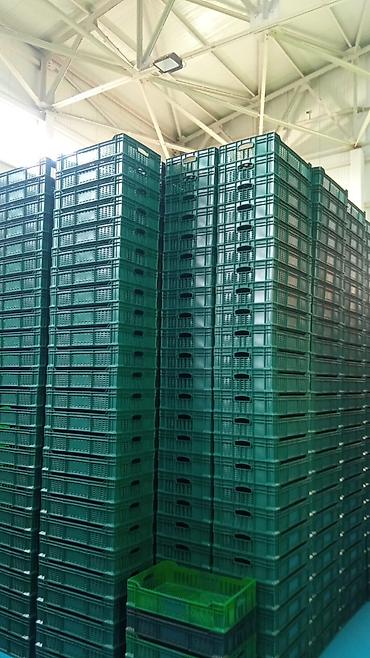 Plastik yeşik(tara,sebet,yesik,qutu) istehsalı. ölçülər 60/40/10sm - şəkil 4