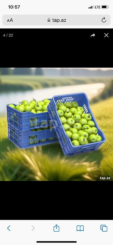 Plastik yeşik(tara,sebet,yesik,qutu) istehsalı. ölçülər 60/40/10sm - şəkil 2