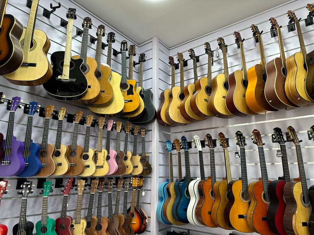 Akustik gitara, Yeni