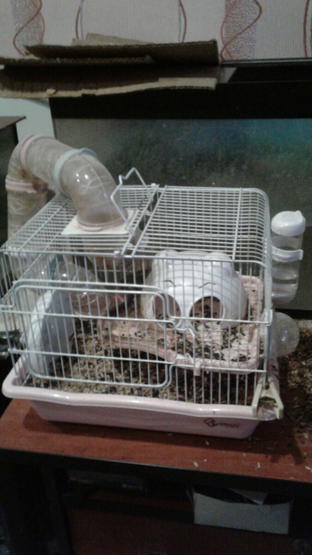 Satmaq istediğiniz mehsullarin paylashmasini isteyirsizse shekillerini