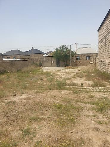 3 sot, Tikinti, Mülkiyyətçi, Kupça (Çıxarış) - şəkil 3