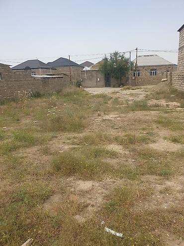 3 sot, Tikinti, Mülkiyyətçi, Kupça (Çıxarış) - şəkil 2