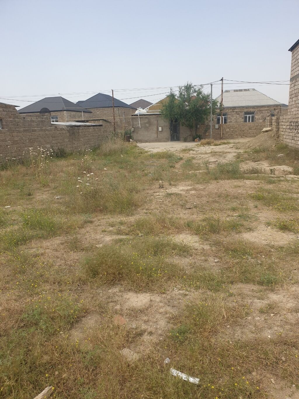 3 sot, Tikinti, Mülkiyyətçi, Kupça (Çıxarış)