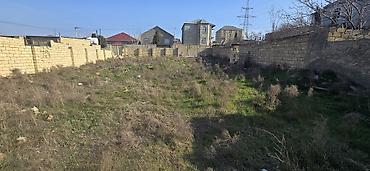 6 sot, Kənd təsərrüfatı, Mülkiyyətçi, Kupça (Çıxarış) - şəkil 3