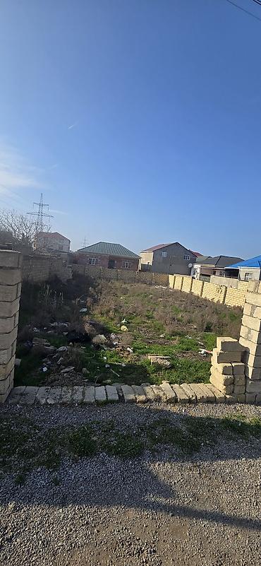 6 sot, Kənd təsərrüfatı, Mülkiyyətçi, Kupça (Çıxarış) - şəkil 2