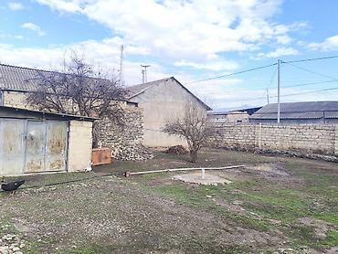 Kənd təsərrüfatı, Mülkiyyətçi, Kupça (Çıxarış) - şəkil 3