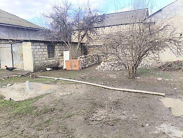 Kənd təsərrüfatı, Mülkiyyətçi, Kupça (Çıxarış) - şəkil 5