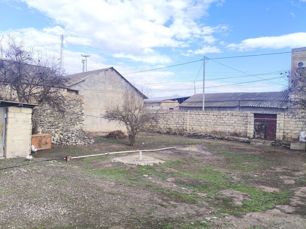 Kənd təsərrüfatı, Mülkiyyətçi, Kupça (Çıxarış)