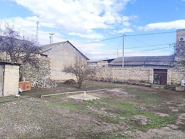 Kənd təsərrüfatı, Mülkiyyətçi, Kupça (Çıxarış) - şəkil 2