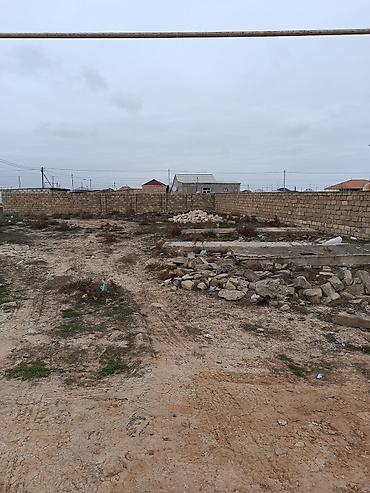 5 sot, Tikinti, Mülkiyyətçi, Kupça (Çıxarış) - şəkil 3