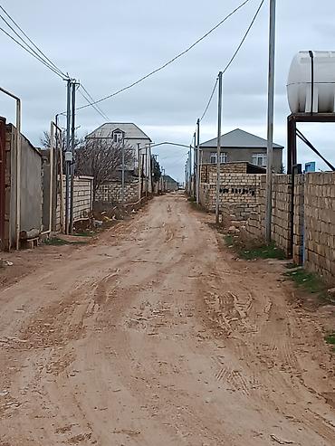 5 sot, Tikinti, Mülkiyyətçi, Kupça (Çıxarış) - şəkil 4