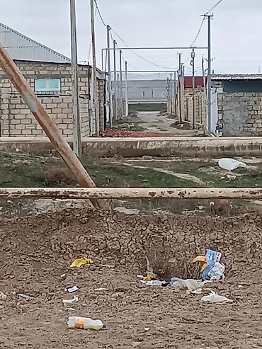 5 sot, Tikinti, Mülkiyyətçi, Kupça (Çıxarış) - şəkil 5