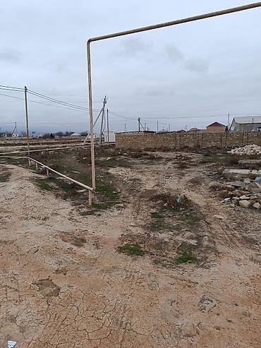 5 sot, Tikinti, Mülkiyyətçi, Kupça (Çıxarış) - şəkil 2