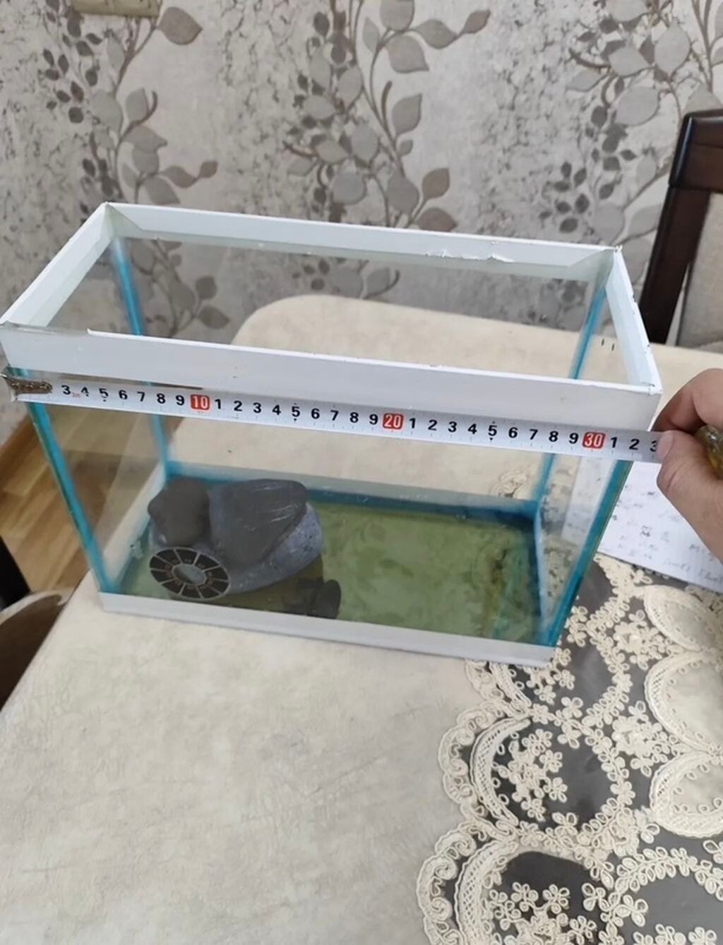 Şəffaf şüşədən hazırlanmış, ağ haşiyəli kiçik düzbucaqlı akvarium