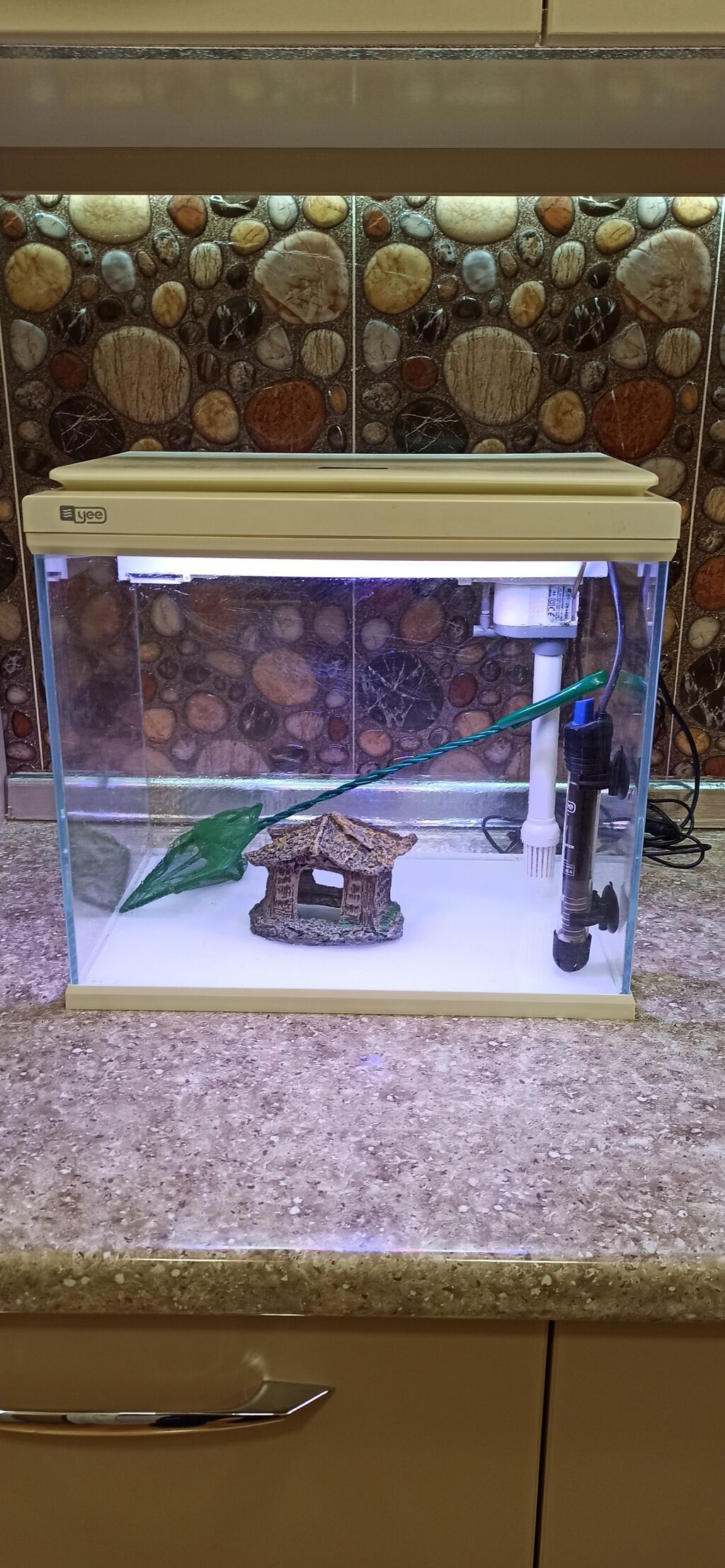 Dördbucaq akvarium, Boş, 31 l