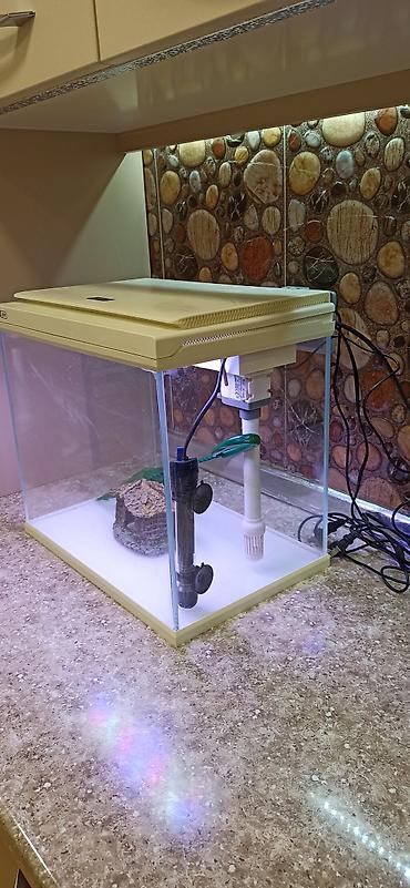 Dördbucaq akvarium, Boş, 31 l - şəkil 4