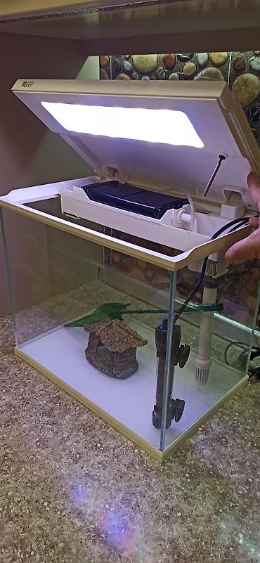 Dördbucaq akvarium, Boş, 31 l - şəkil 3