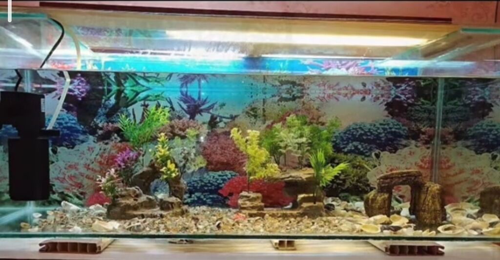 Dördbucaq akvarium, 160 l, Pulsuz çatdırılma