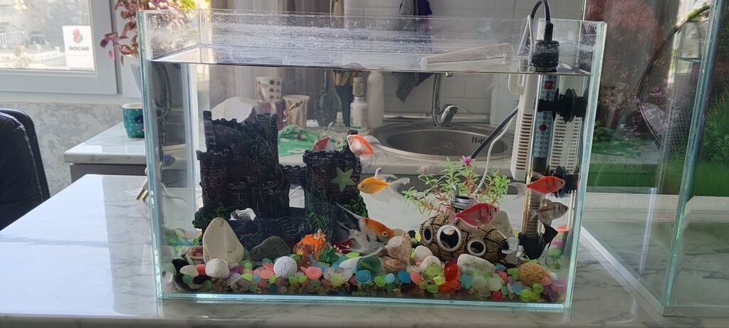 Dördbucaq akvarium, Boş, 22 l, Ünvandan götürmə