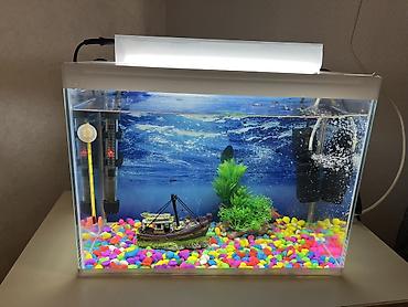 Dördbucaq akvarium, Balıqlarla birlikdə, 24 l - şəkil 3