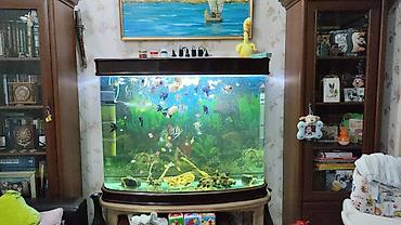 Satılır, təqribən 110x80x45 - 400 litr su tutur. Təzə 3400 alınıb. Son - şəkil 3